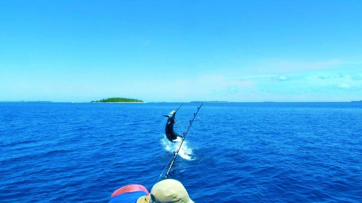 Summer Shade Maldives Dharavandhoo Luaran gambar